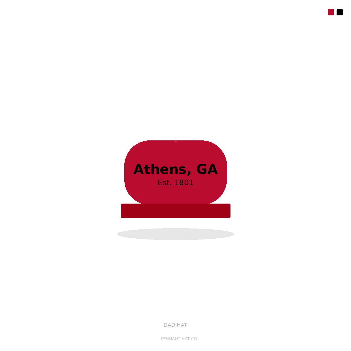 Athens GA Dad Hat