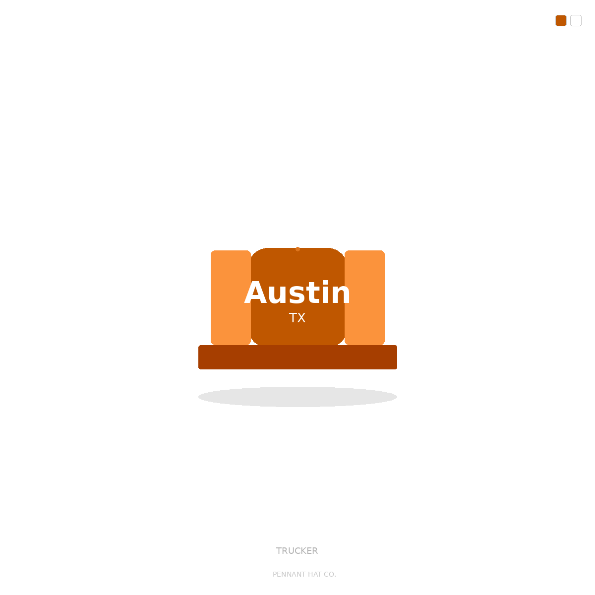 Austin TX Trucker