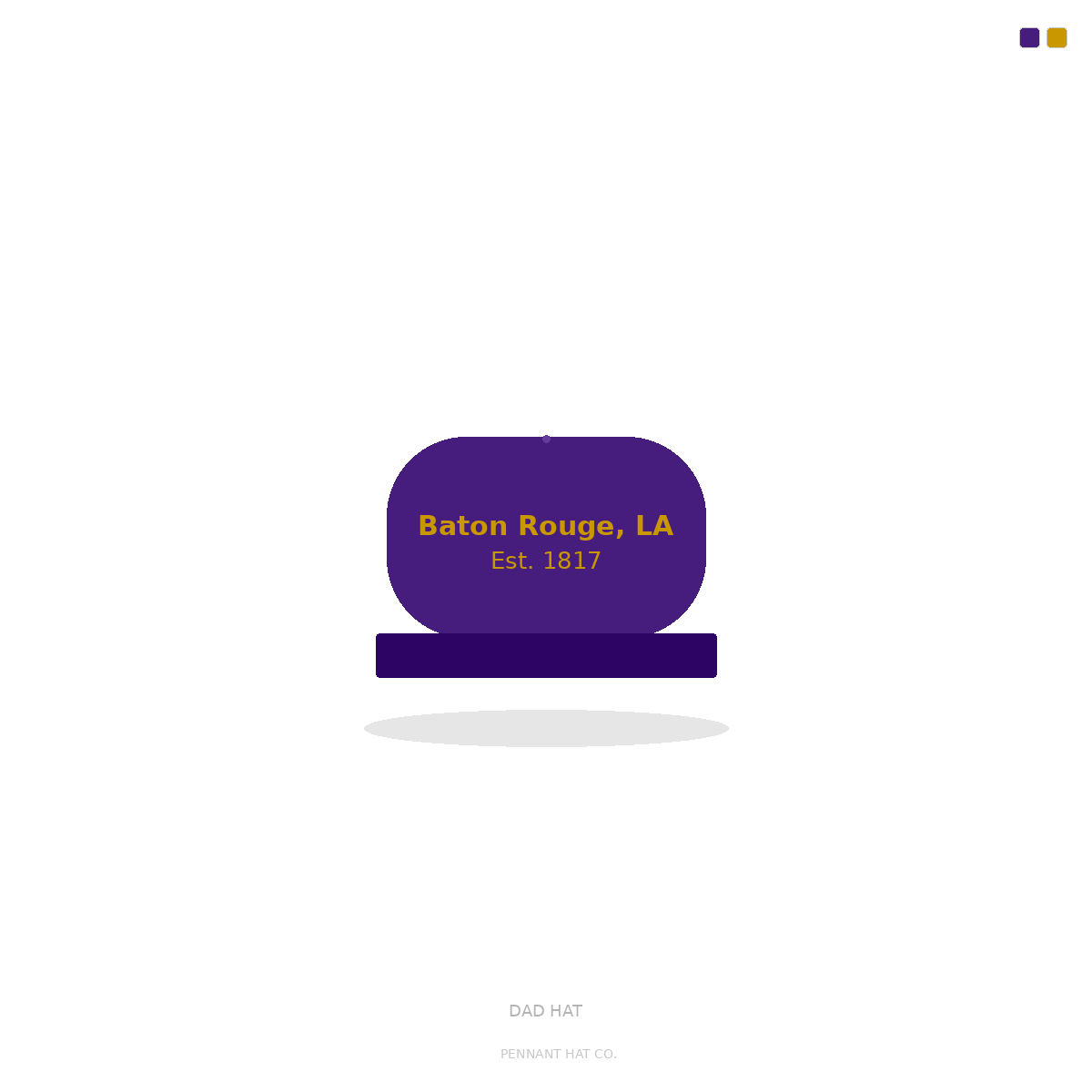 Baton Rouge LA Dad Hat